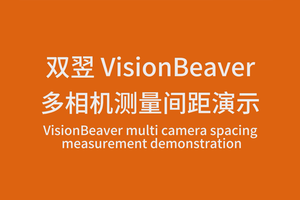 VisionBeaver多相機(jī)測(cè)量間距演示