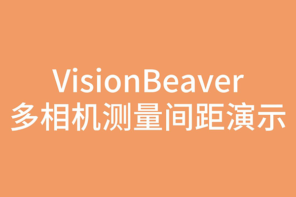 VisionBeaver多相機(jī)測(cè)量間距演示